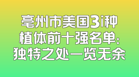 亳州市美国3i种植体前十强名单：独特之处一览无余