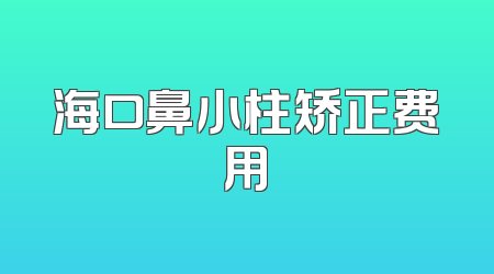 海口鼻小柱矫正费用