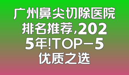 广州鼻尖切除医院排名推荐，2025年！TOP_5优质之选