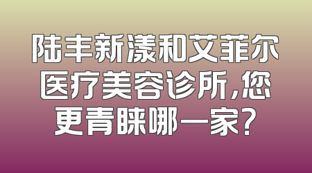 陆丰新漾和艾菲尔医疗美容诊所，您更青睐哪一家？