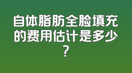 自体脂肪全脸填充的费用估计是多少？