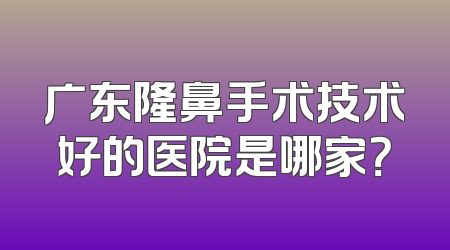 广东隆鼻手术技术好的医院是哪家？