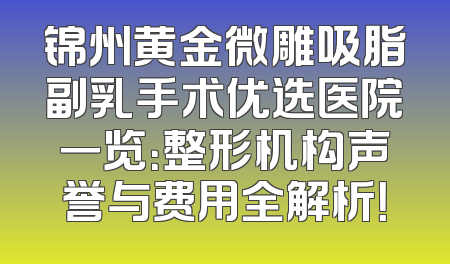 锦州黄金微雕吸脂副乳手术优选医院一览：整形机构声誉与费用全解析！
