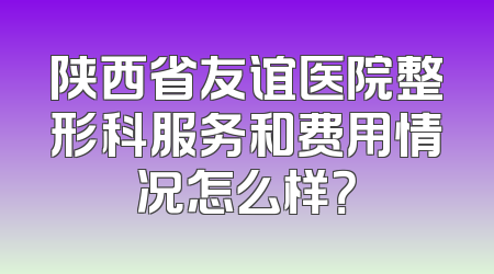 陕西省友谊医院整形科服务和费用情况怎么样？
