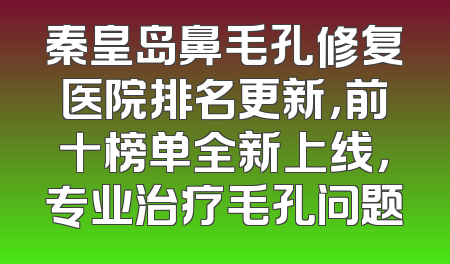 秦皇岛鼻毛孔修复医院排名更新，前十榜单全新上线，专业治疗毛孔问题