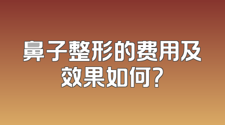 鼻子整形的费用及效果如何？