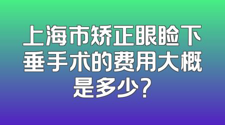 上海市矫正眼睑下垂手术的费用大概是多少？