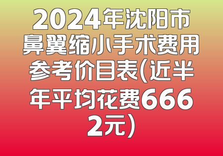 2024年沈阳市鼻翼缩小手术费用参考价目表（近半年平均花费6662元）