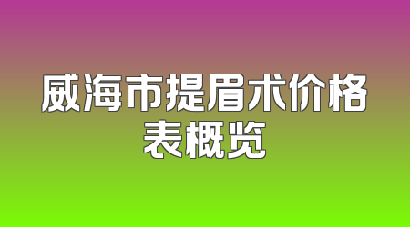 威海市提眉术价格表概览