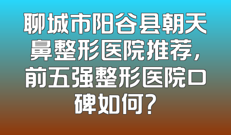 聊城市阳谷县朝天鼻整形医院推荐，前五强整形医院口碑如何？