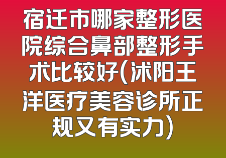 宿迁市哪家整形医院综合鼻部整形手术比较好(沭阳王洋医疗美容诊所正规又有实力)