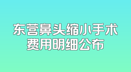 东营鼻头缩小手术费用明细公布