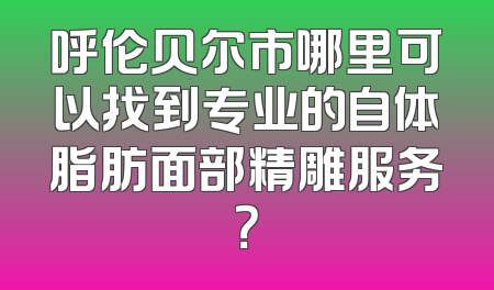 呼伦贝尔市哪里可以找到专业的自体脂肪面部精雕服务？