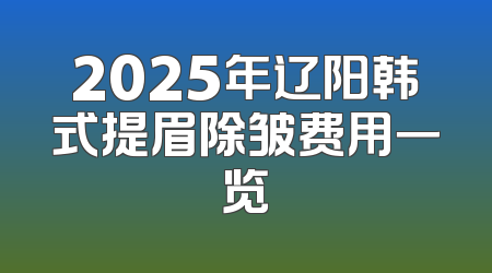 2025年辽阳韩式提眉除皱费用一览