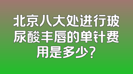 北京八大处进行玻尿酸丰唇的单针费用是多少？