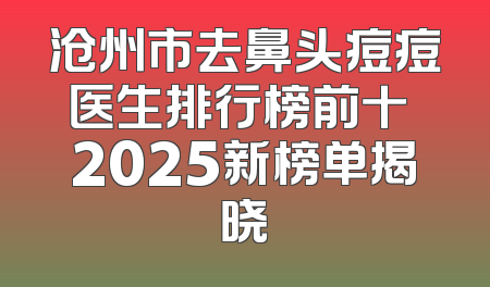 沧州市去鼻头痘痘医生排行榜前十 2025新榜单揭晓