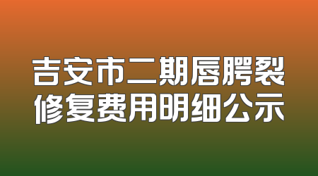 吉安市二期唇腭裂修复费用明细公示