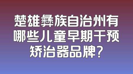 楚雄彝族自治州有哪些儿童早期干预矫治器品牌？