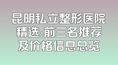 昆明私立整形医院精选：前三名推荐及价格信息总览