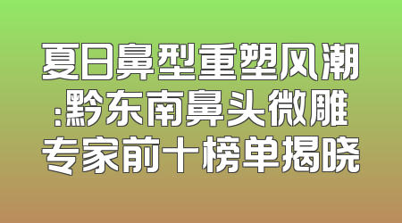 夏日鼻型重塑风潮：黔东南鼻头微雕专家前十榜单揭晓