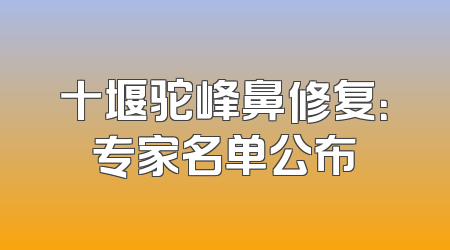十堰驼峰鼻修复：专家名单公布