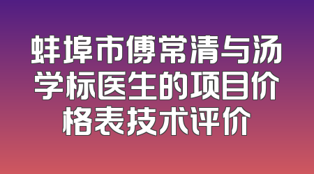蚌埠市傅常清与汤学标医生的项目价格表技术评价