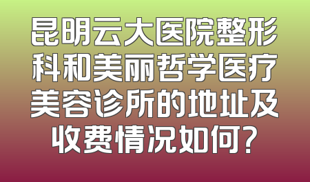 昆明云大医院整形科和美丽哲学医疗美容诊所的地址及收费情况如何？