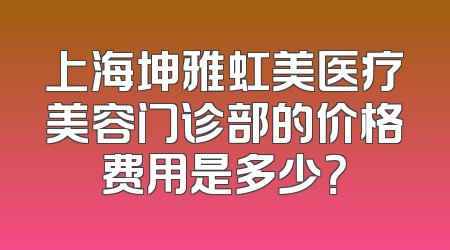 上海坤雅虹美医疗美容门诊部的价格费用是多少？