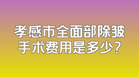 孝感市全面部除皱手术费用是多少？