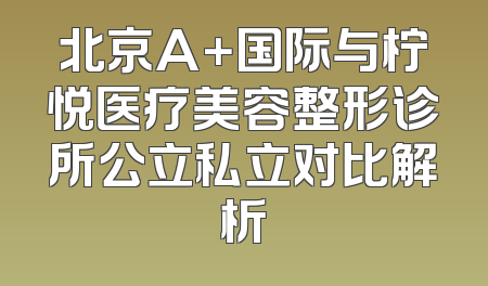 北京A＋国际与柠悦医疗美容整形诊所公立私立对比解析