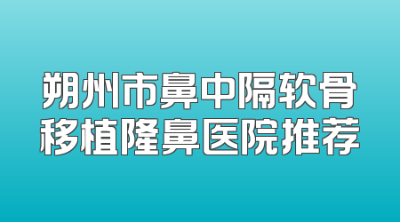 朔州市鼻中隔软骨移植隆鼻医院推荐