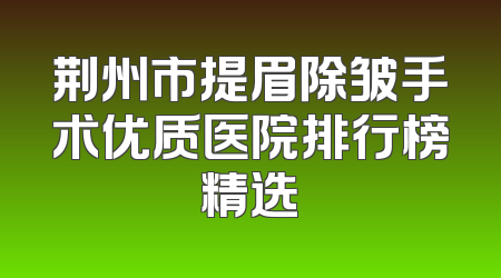 荆州市提眉除皱手术优质医院排行榜精选