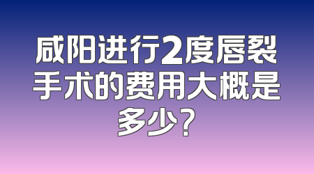 咸阳进行2度唇裂手术的费用大概是多少？