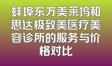 蚌埠东方美莱坞和思达极致美医疗美容诊所的服务与价格对比