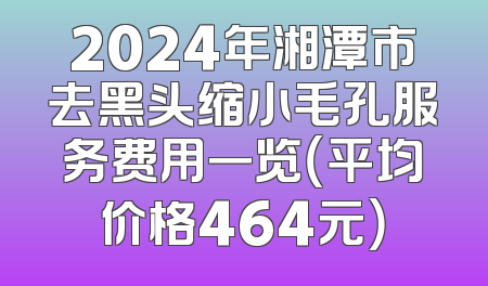 2024年湘潭市去黑头缩小毛孔服务费用一览（平均价格464元）