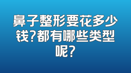 鼻子整形要花多少钱？都有哪些类型呢？