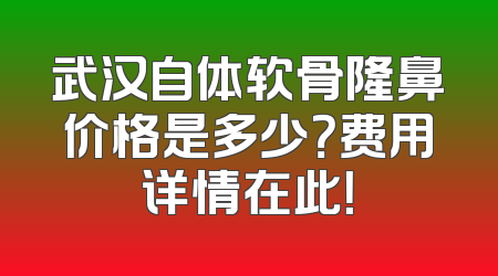 武汉自体软骨隆鼻价格是多少？费用详情在此！