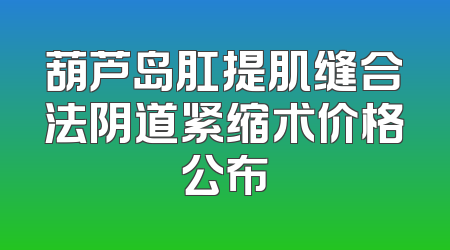 葫芦岛肛提肌缝合法阴道紧缩术价格公布