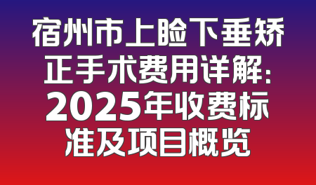 宿州市上睑下垂矫正手术费用详解：2025年收费标准及项目概览