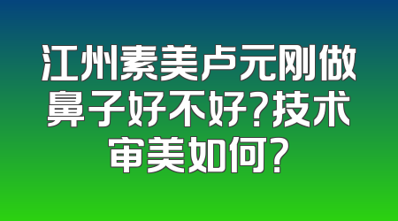 江州素美卢元刚做鼻子好不好？技术审美如何？