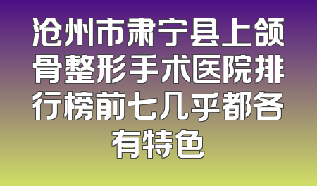 沧州市肃宁县上颌骨整形手术医院排行榜前七几乎都各有特色