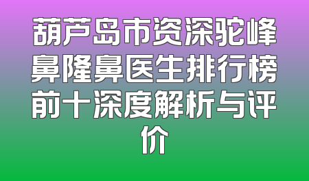 葫芦岛市资深驼峰鼻隆鼻医生排行榜前十深度解析与评价