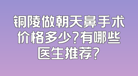铜陵做朝天鼻手术价格多少？有哪些医生推荐？
