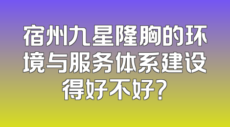 宿州九星隆胸的环境与服务体系建设得好不好？