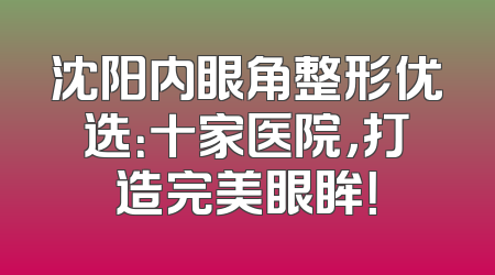 沈阳内眼角整形优选：十家医院，打造完美眼眸！