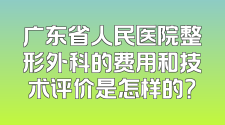 广东省人民医院整形外科的费用和技术评价是怎样的？