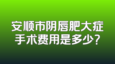 安顺市阴唇肥大症手术费用是多少？