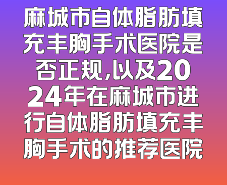 麻城市自体脂肪填充丰胸手术医院是否正规，以及2024年在麻城市进行自体脂肪填充丰胸手术的推荐医院