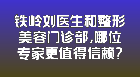 铁岭刘医生和整形美容门诊部，哪位专家更值得信赖？
