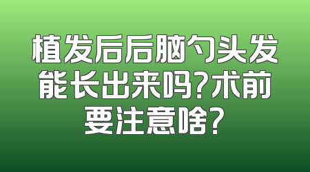 植发后后脑勺头发能长出来吗？术前要注意啥？